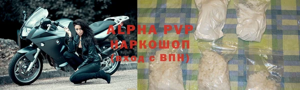 прущие грибы Протвино