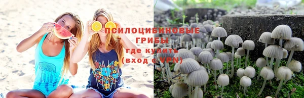 PSILOCYBIN Абдулино