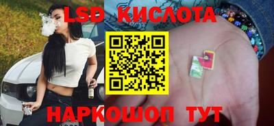 ешки Можга