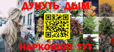 ешки Можга