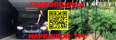ешки Можга