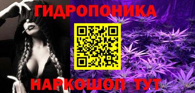 ешки Можга