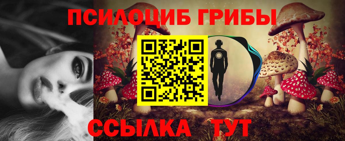 Псилоцибиновые грибы прущие грибы Советский